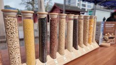 <b><b>2025年庆元县食物平安宣传周从场勾当举行</b></b>